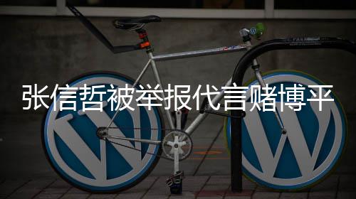 代言赌博张信哲被怎么回事举报 经纪公平台应司回